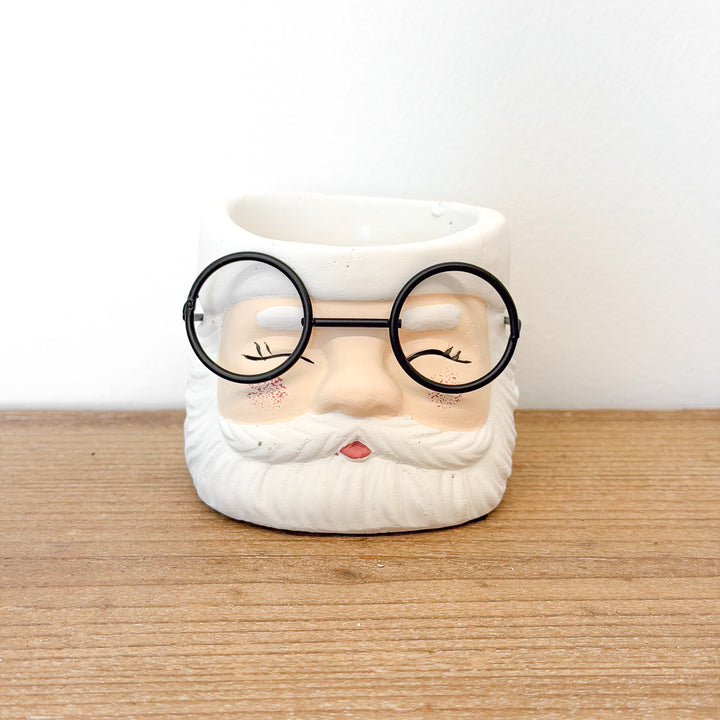 Santa Planter