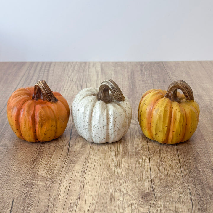 The Perfect Little Harvest Pumpkin