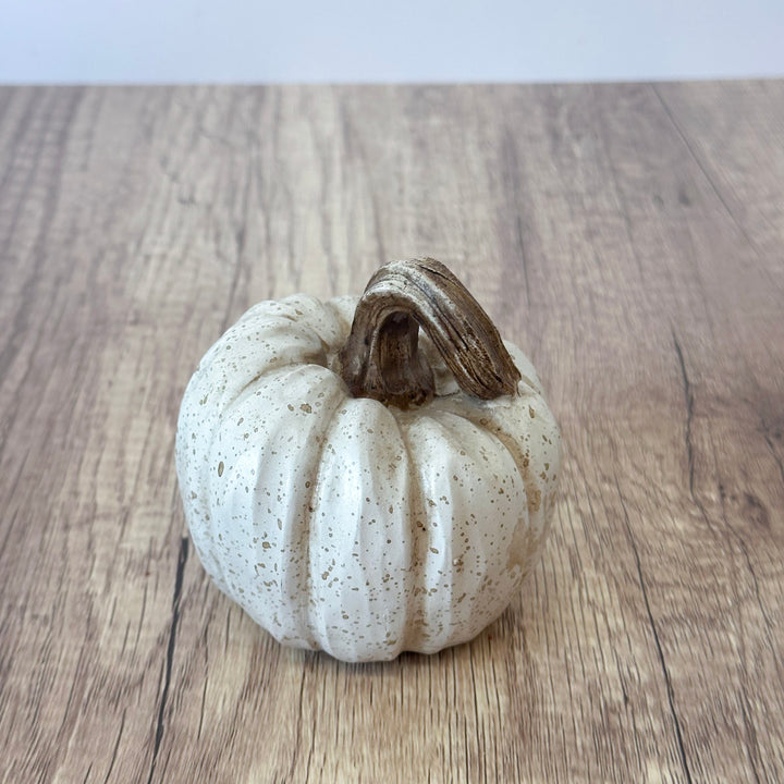 The Perfect Little Harvest Pumpkin