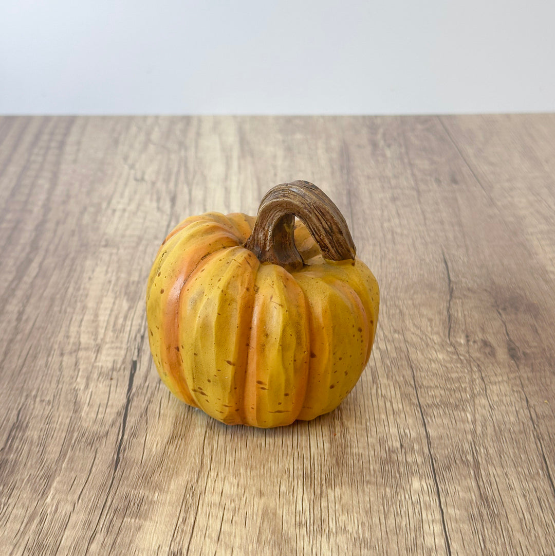 The Perfect Little Harvest Pumpkin