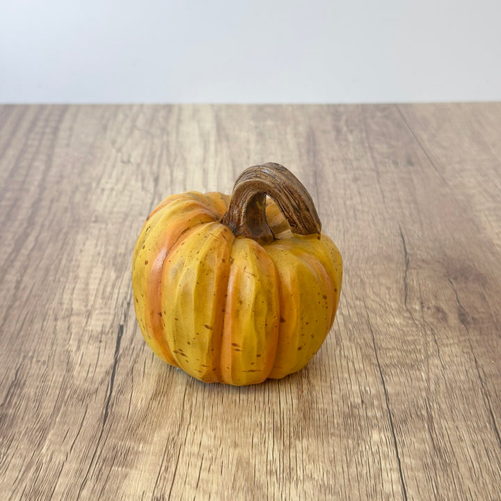 The Perfect Little Harvest Pumpkin
