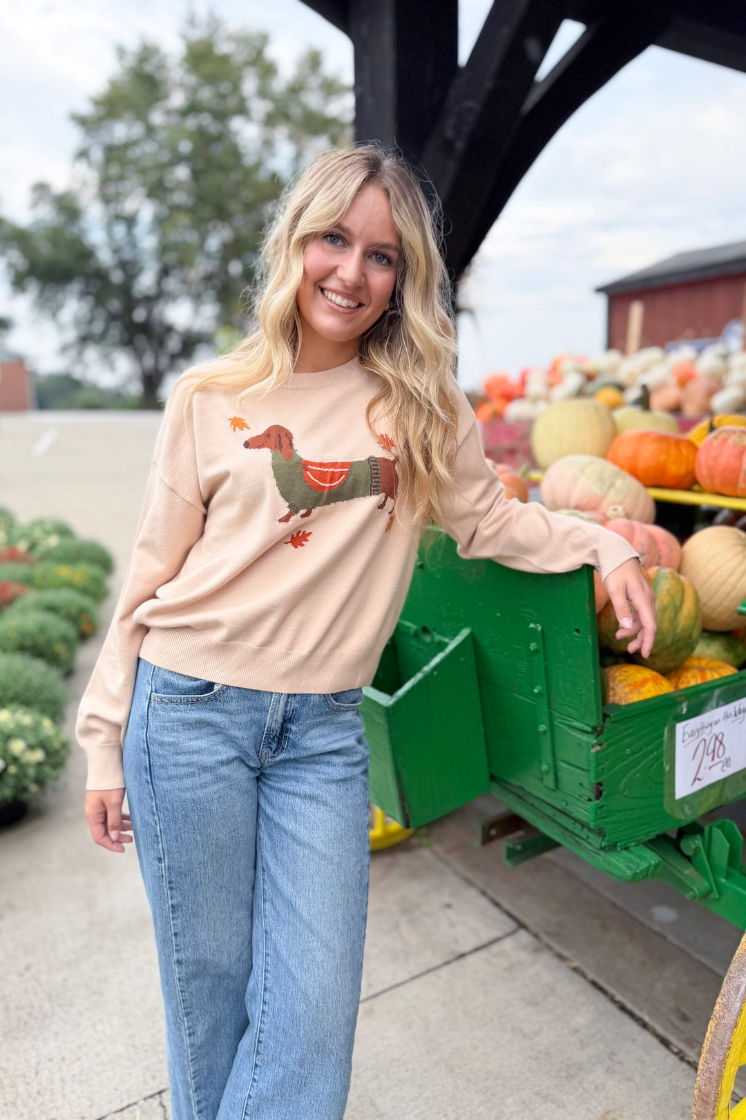 Pumpkin Patch Pup Sweater