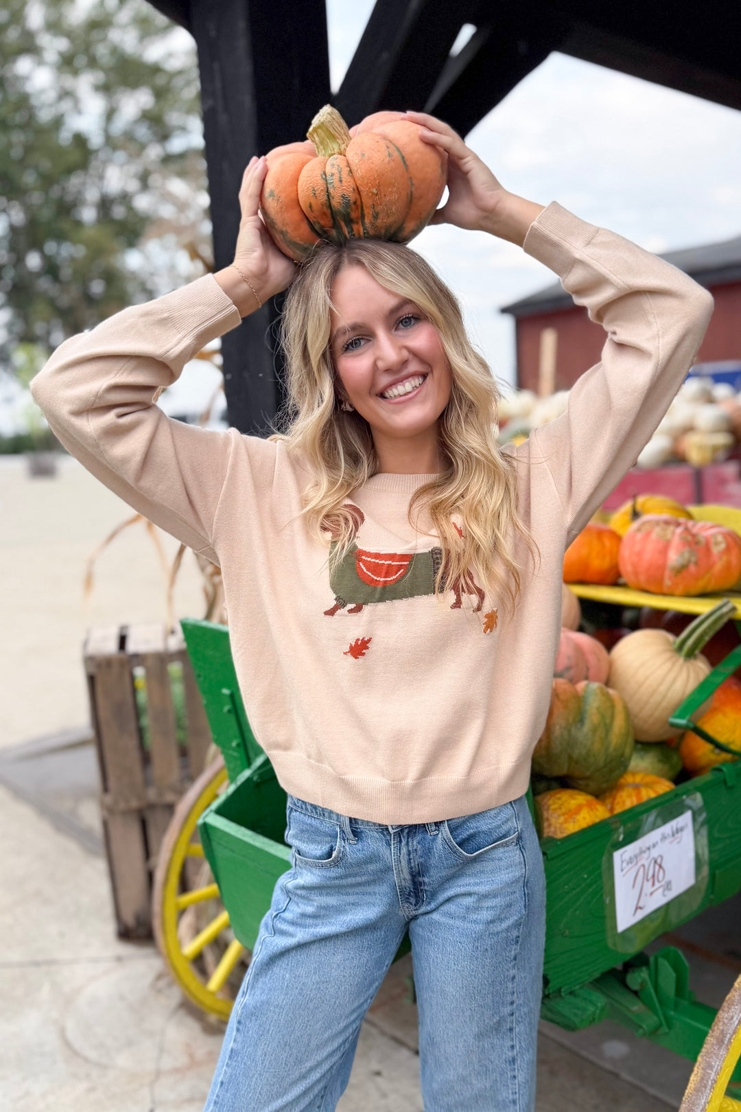 Pumpkin Patch Pup Sweater