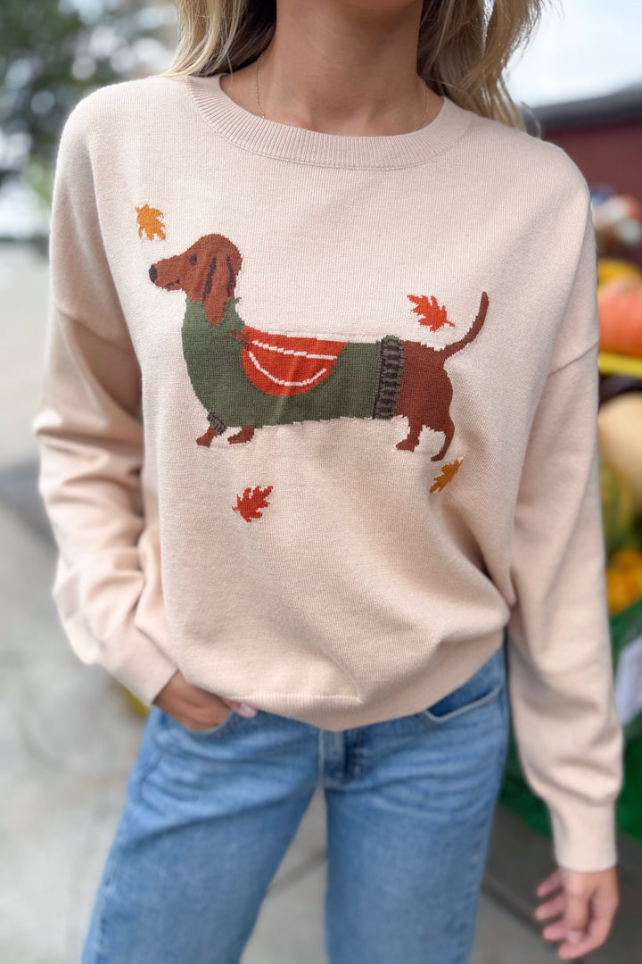 Pumpkin Patch Pup Sweater