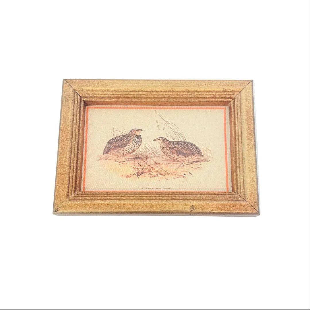 Rustic Woodland Framed Wall Art