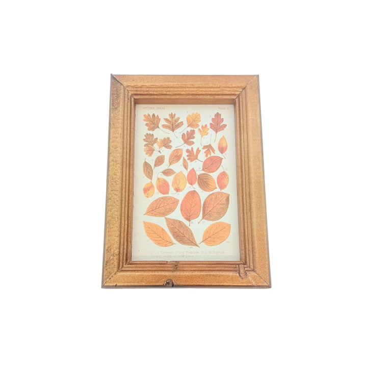 Rustic Woodland Framed Wall Art