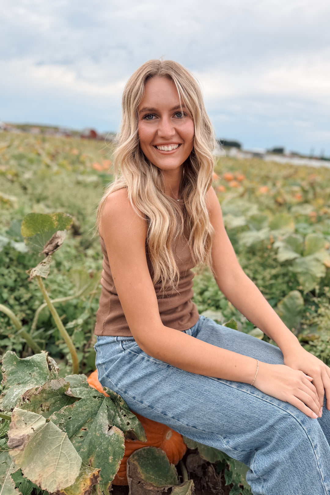 Cider Top