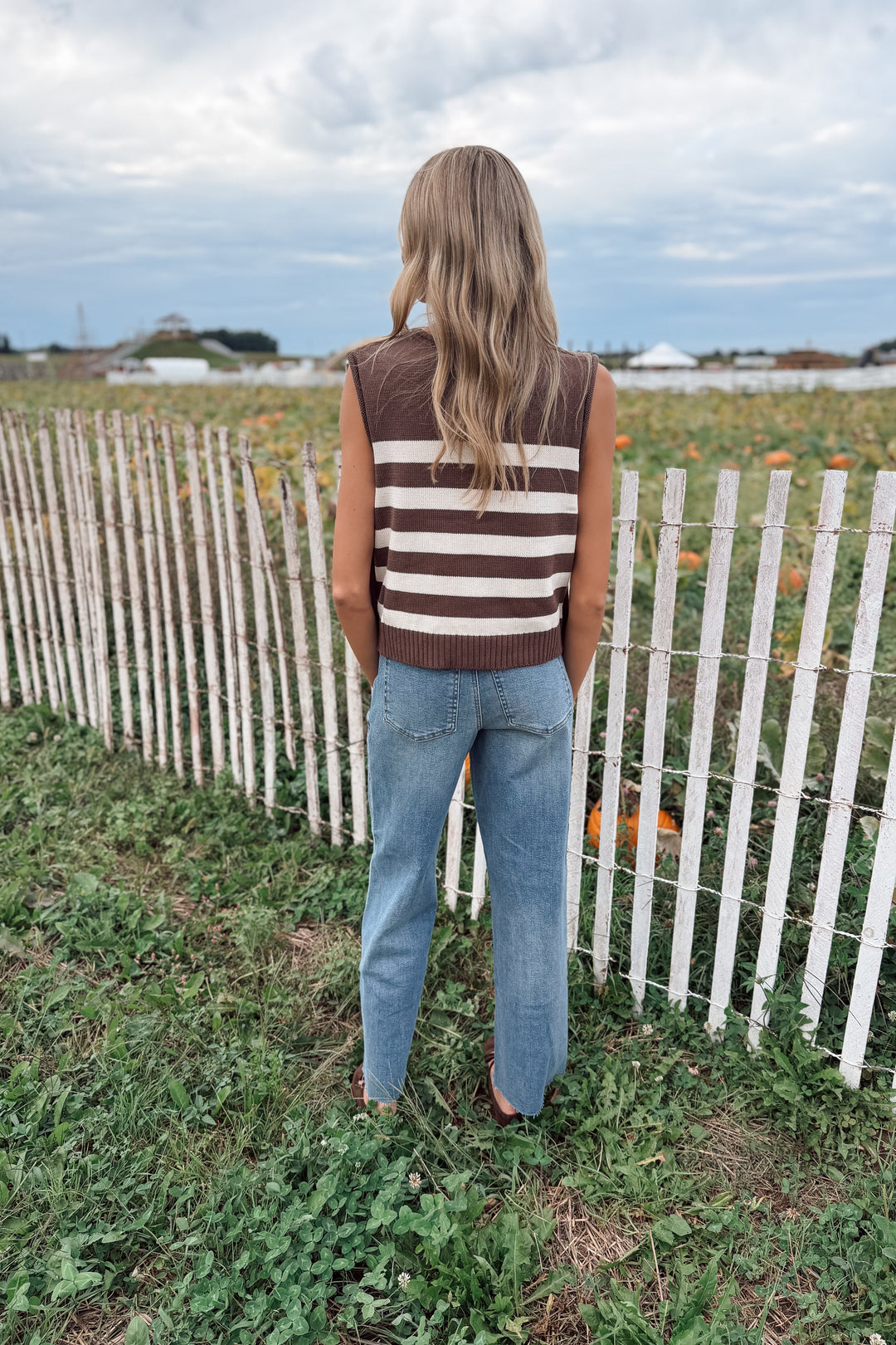 Cider Sweater Vest