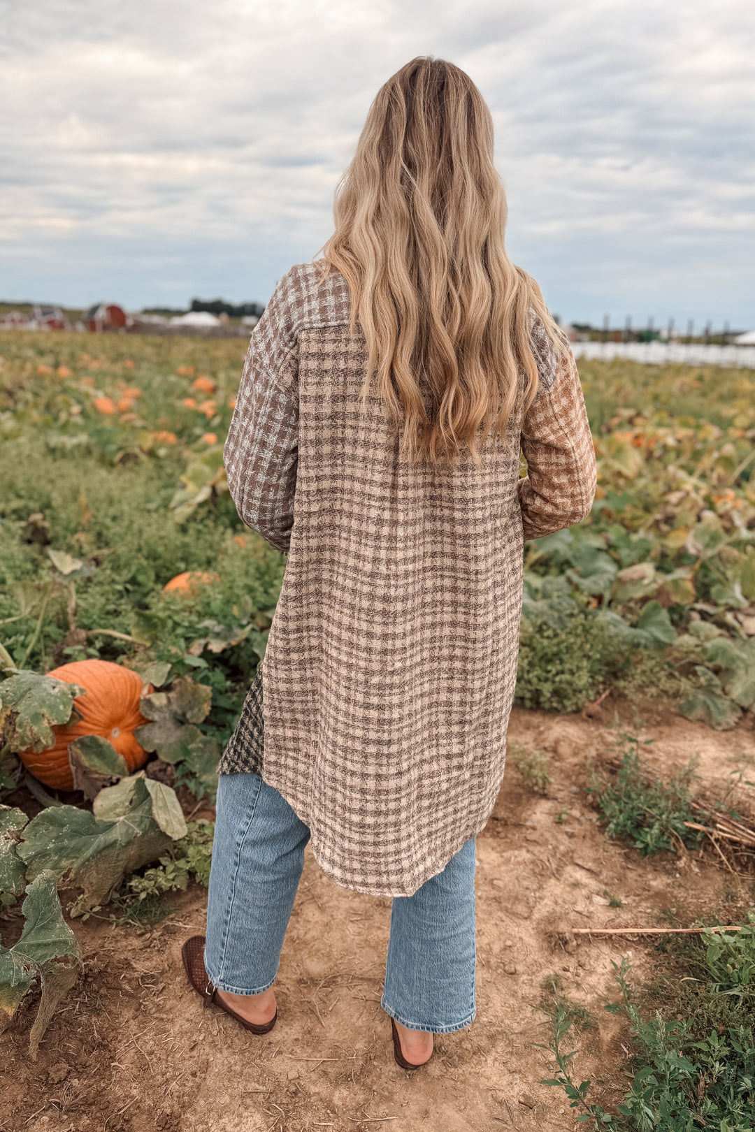 Pumpkins & Plaid Shacked