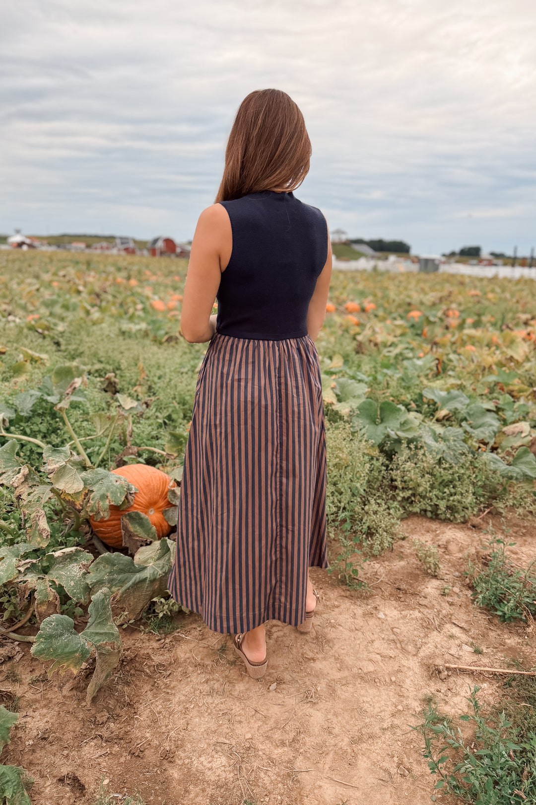 Harvest Moon Dress