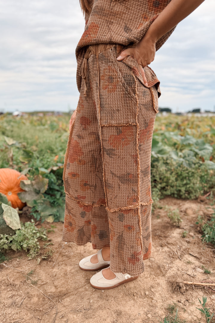 Golden Fields Knit Pant