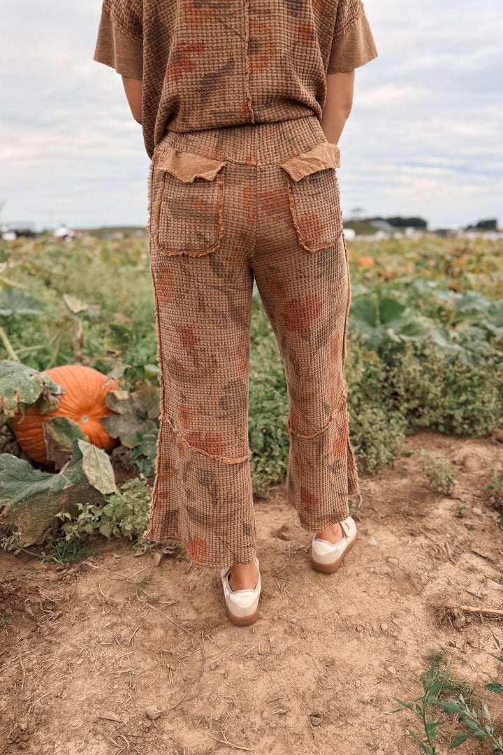 Golden Fields Knit Pant