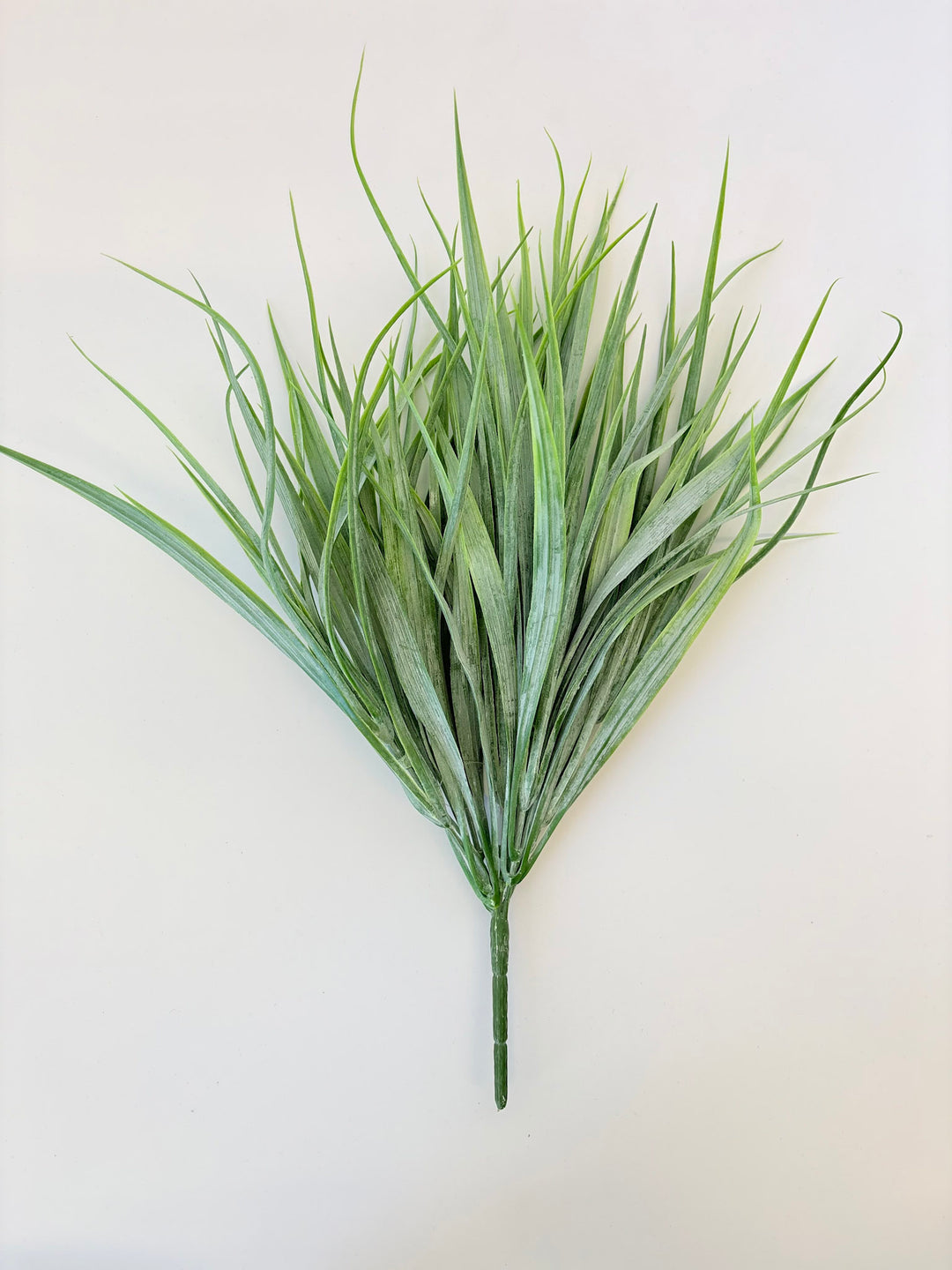 Two Tone Green Grass Bush