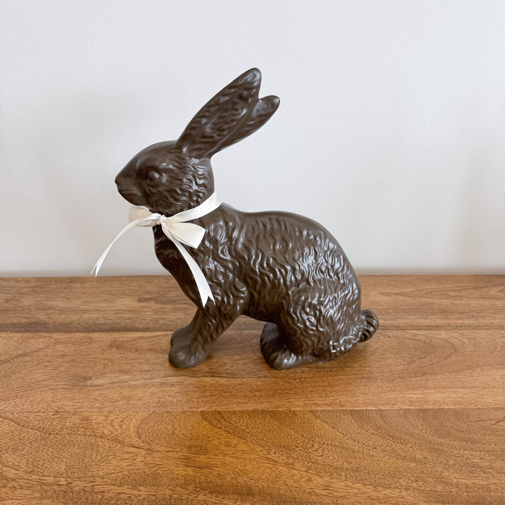 Charming Chocolate Bunny