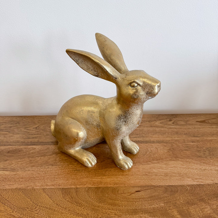 Distressed Golden Rabbit