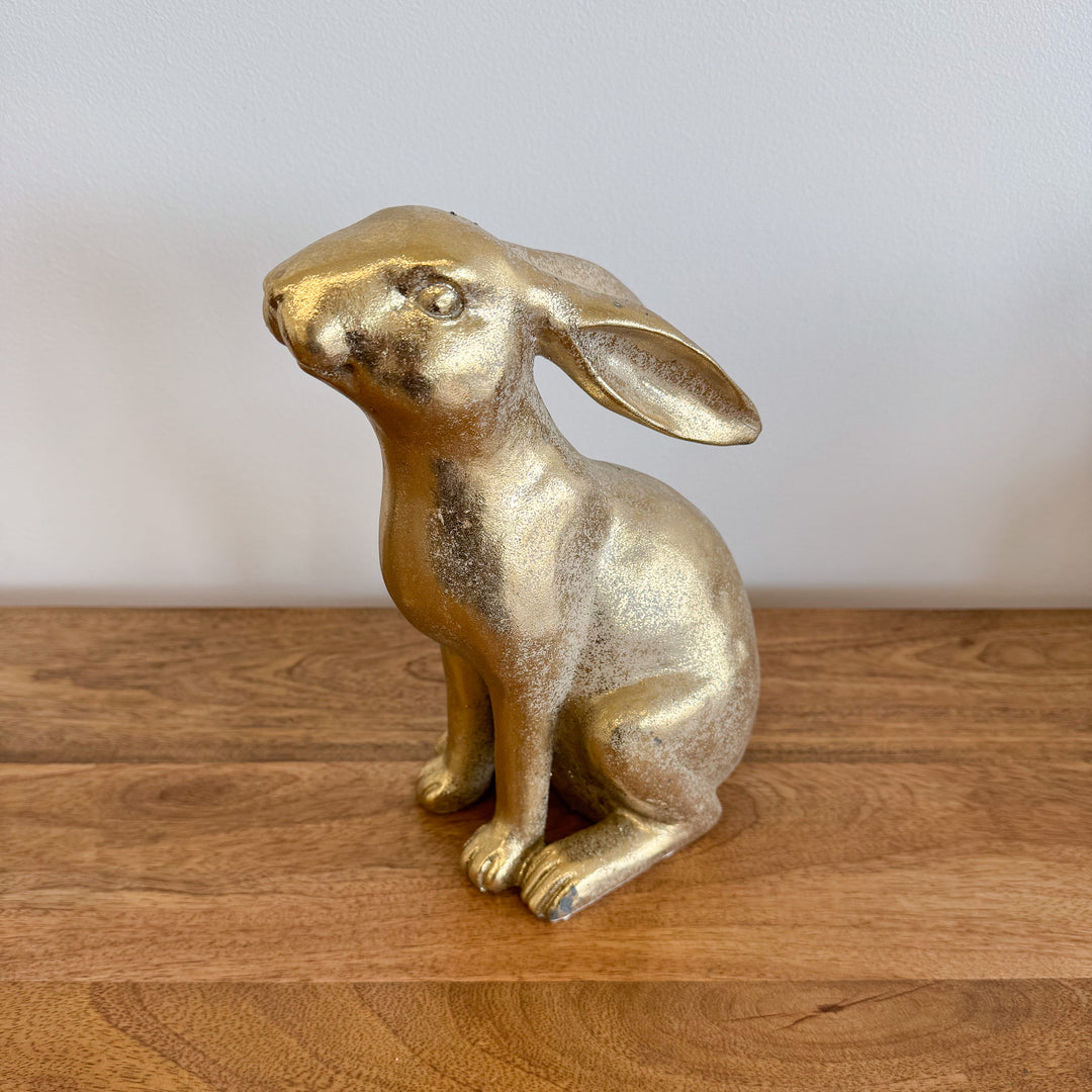 Distressed Golden Rabbit