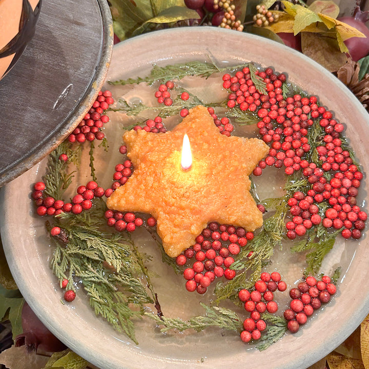 Clove Floating Star & Filler Set
