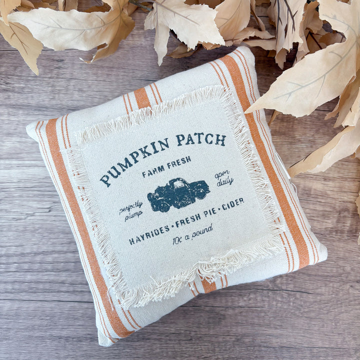 Striped Fringe Patch Fall Pillow