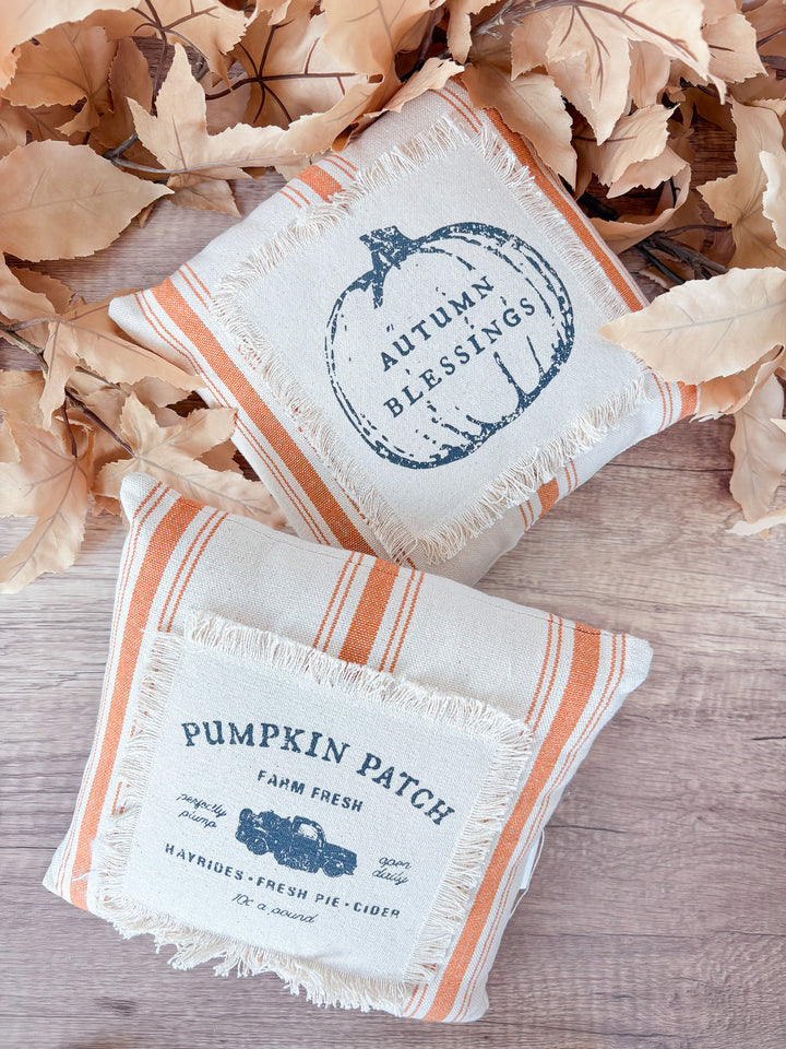Striped Fringe Patch Fall Pillow