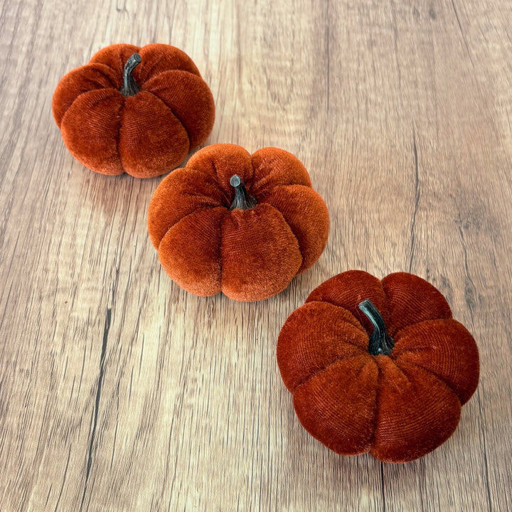 Fall Hues Mini Velvet Pumpkin Set