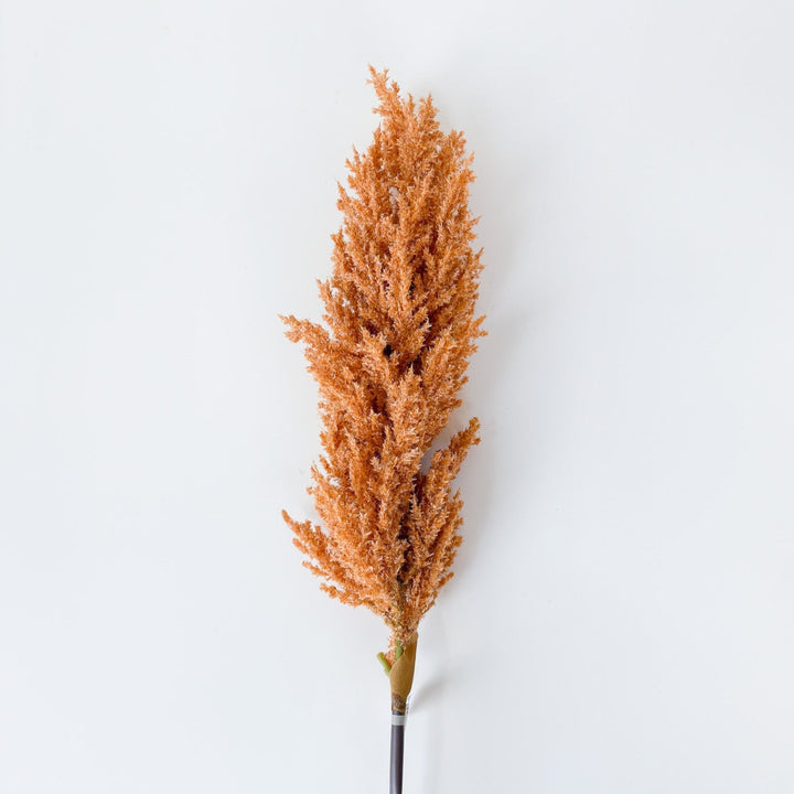 Elegant Millet Seed Spray