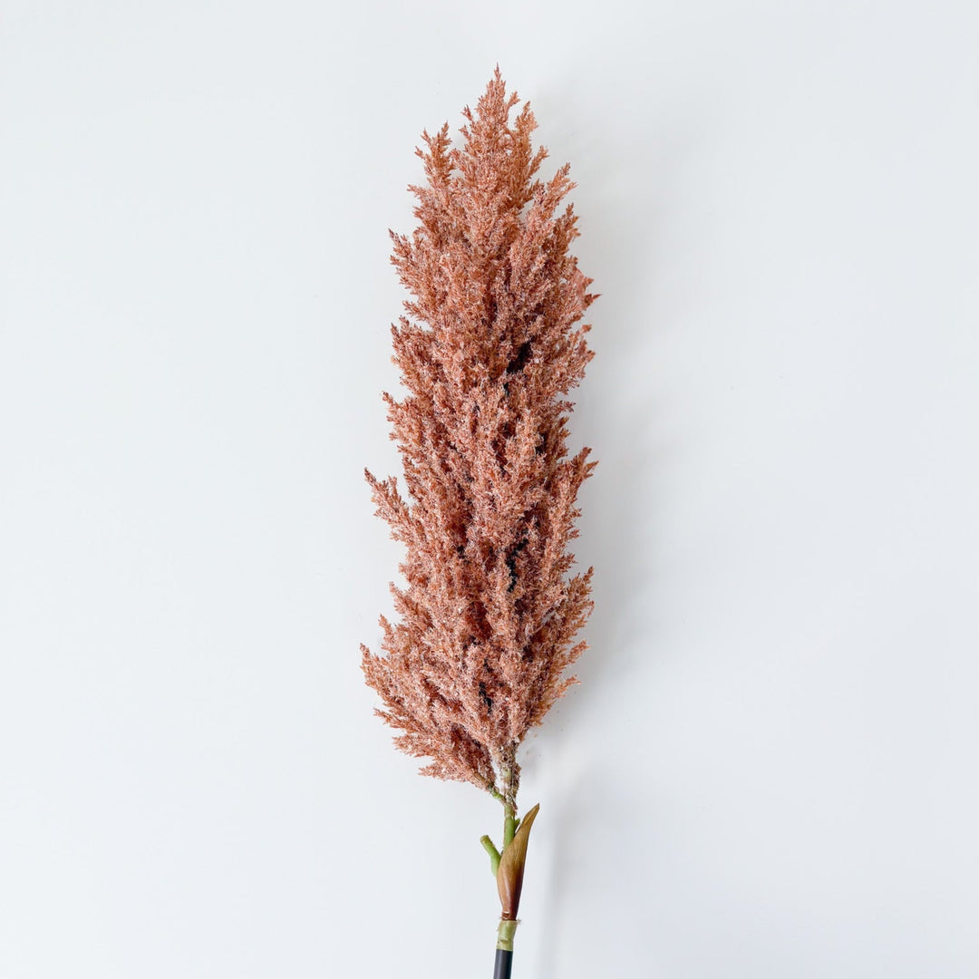 Elegant Millet Seed Spray