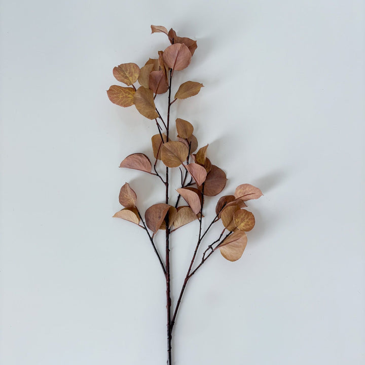 Simplistic Birch Leaf Spray