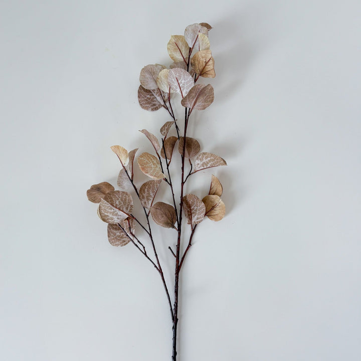 Simplistic Birch Leaf Spray
