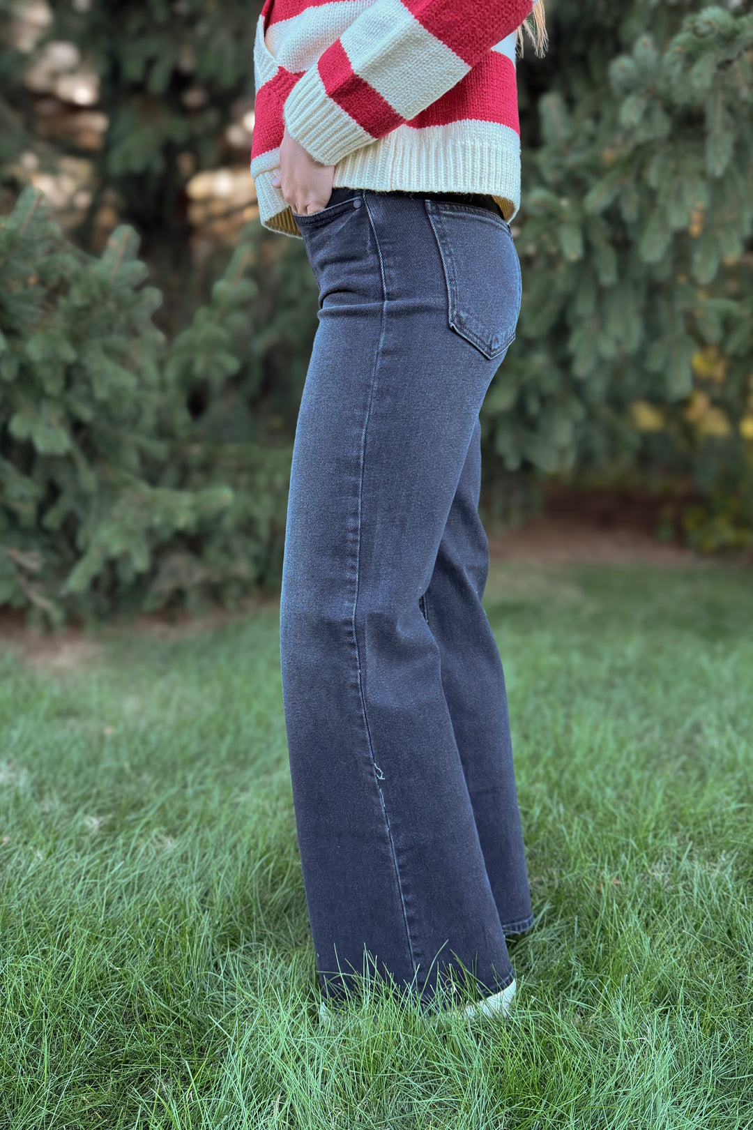 Palazzo Denim