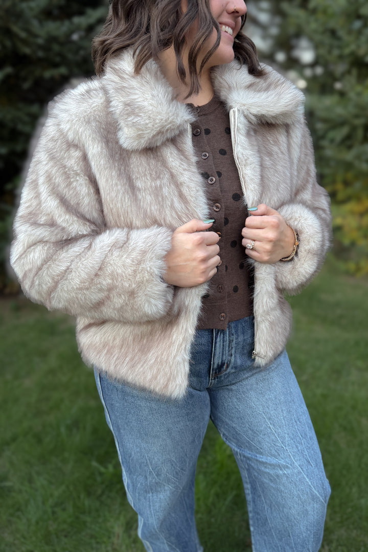 Winter Whisper Jacket Curvy