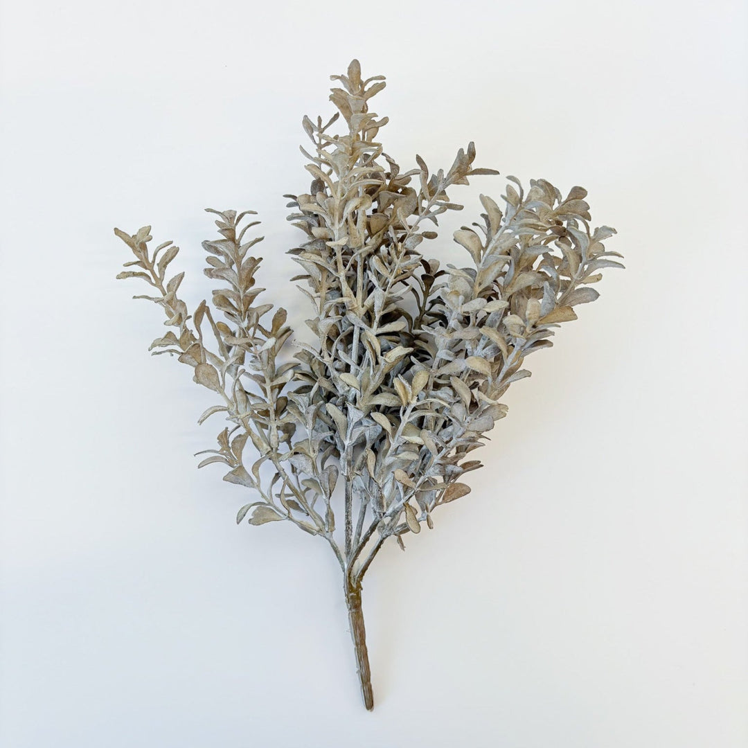 Vintage Muted Boxwood Bush