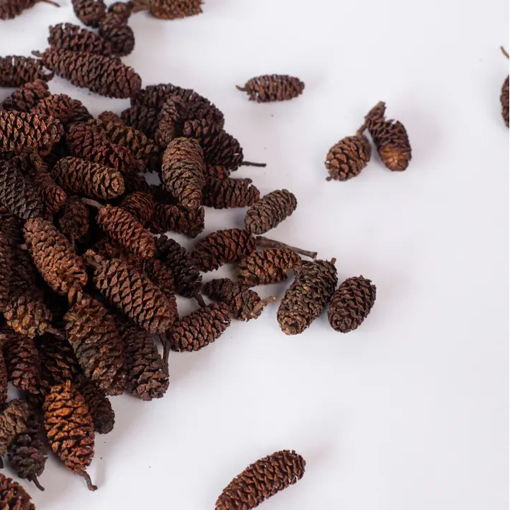 Fraser Fir Scented Pinecones