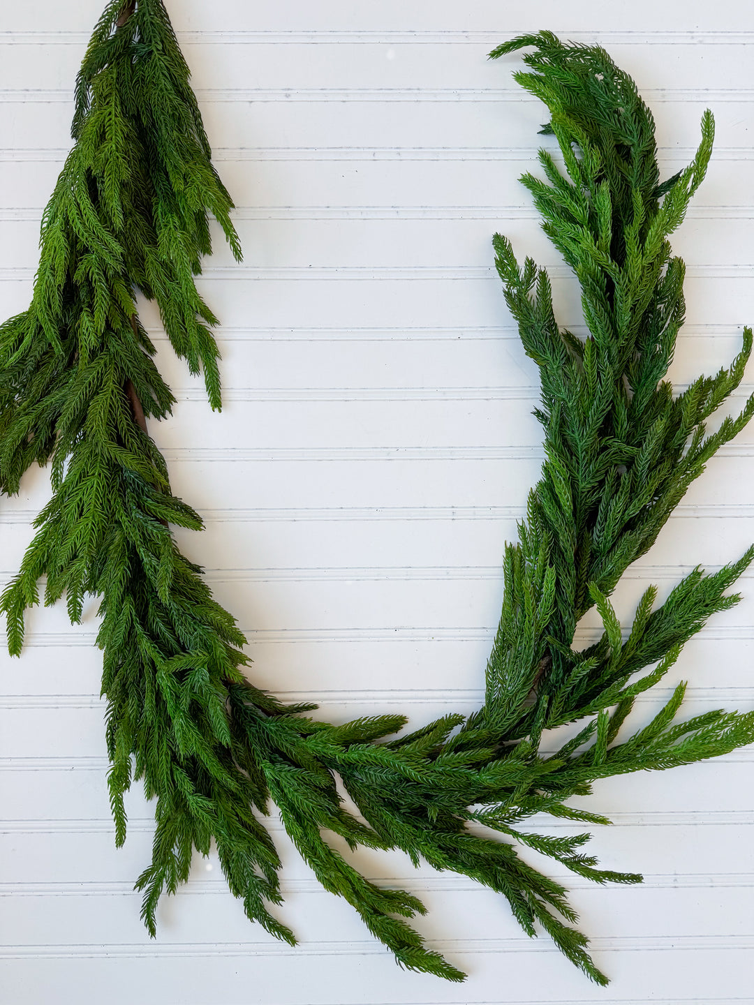 5' Natural Touch Norfolk Pine Garland