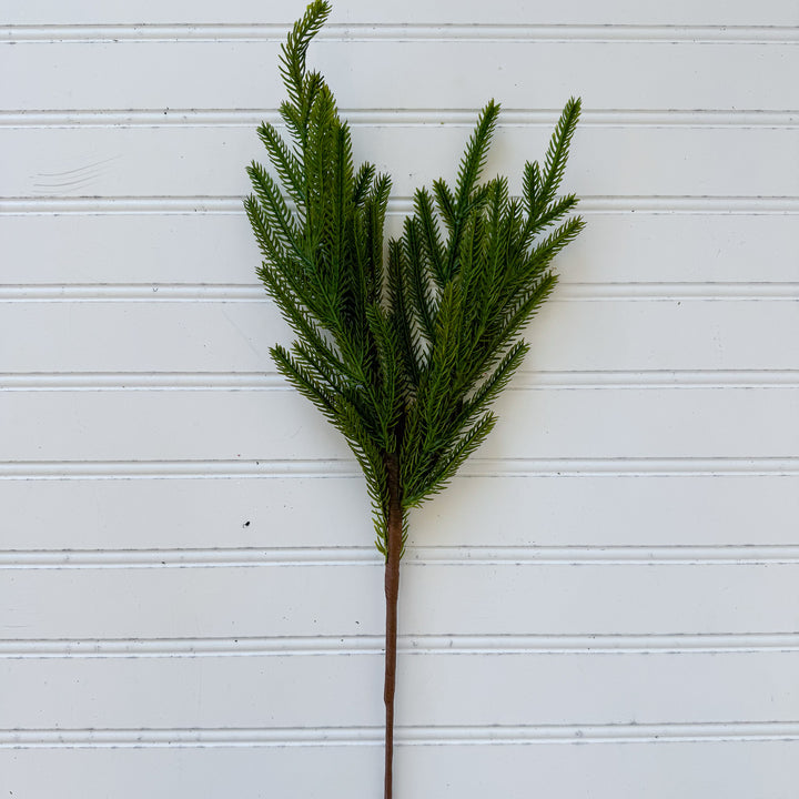 Fraser Fir Spray