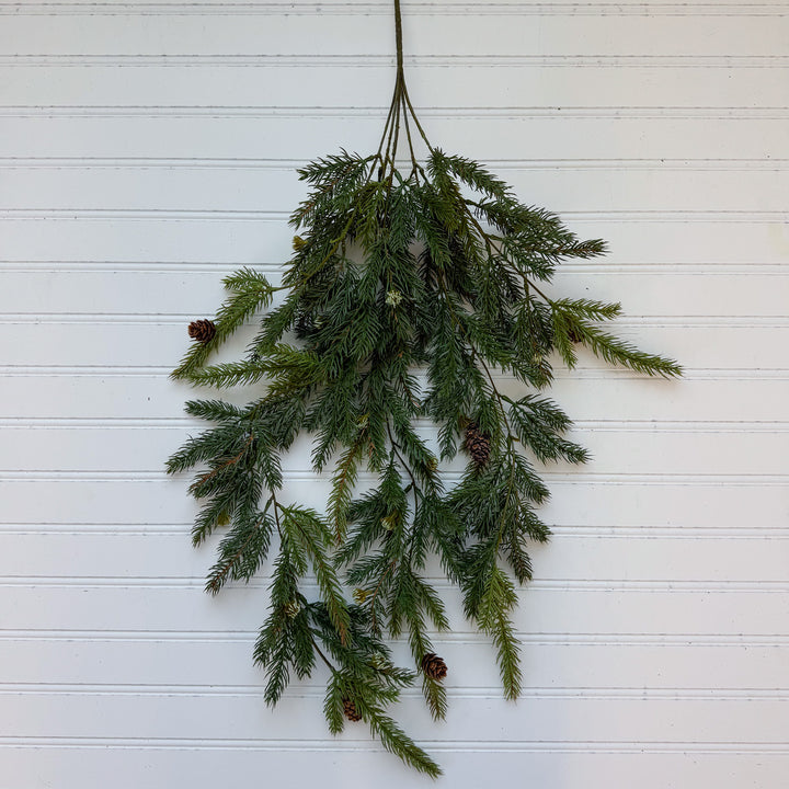 Hanging White Spruce With Cones