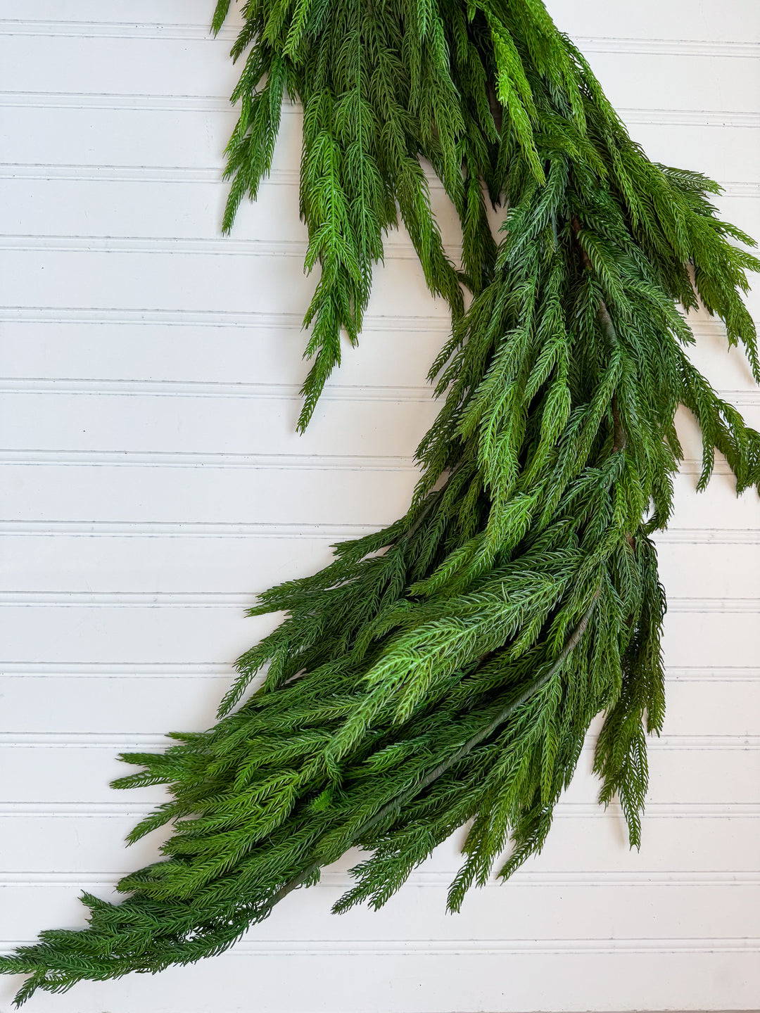 Real Touch Norfolk Pine Garland