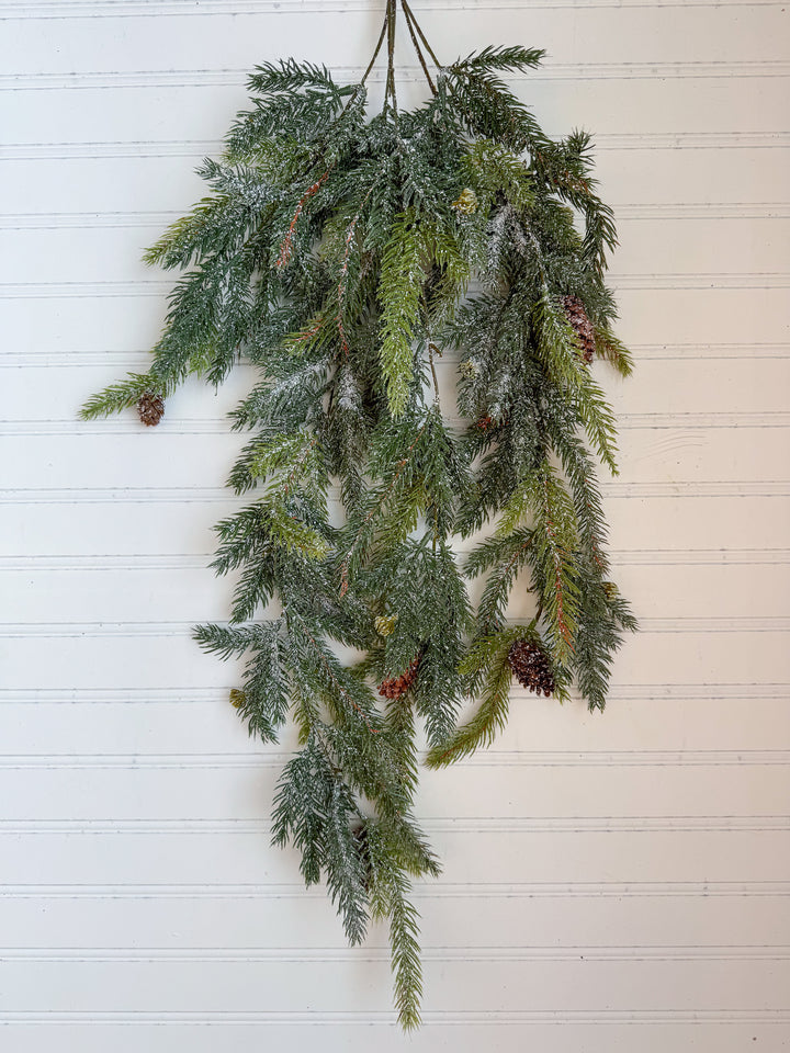 Frosted White Spruce Hanging Foliage