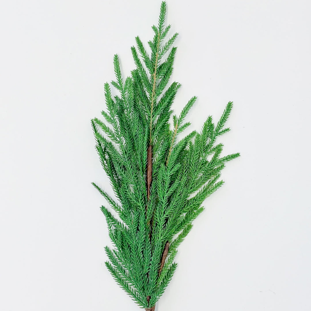 Soft Touch Mini Fir Spray