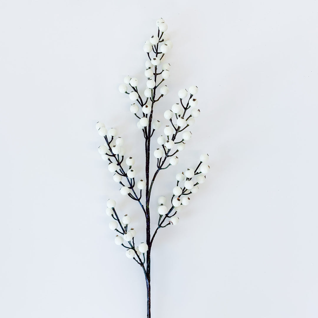 Classic Winter Berry Waterproof Spray