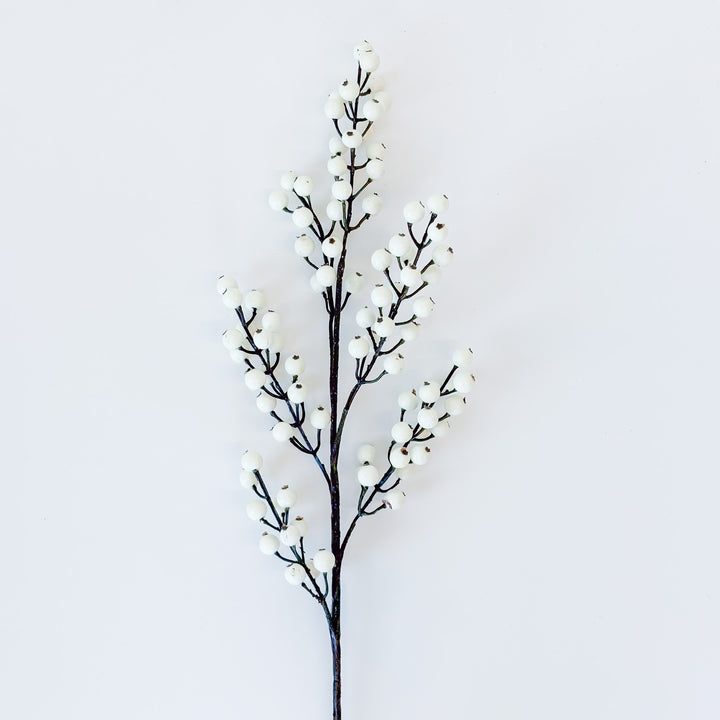 Classic Winter Berry Waterproof Spray