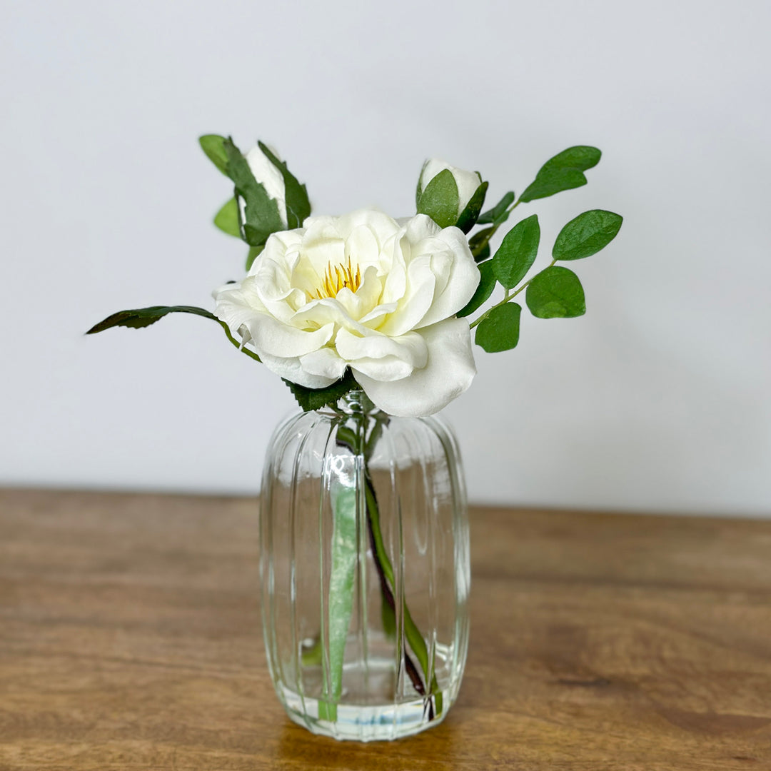 Delicate Roses In Vase