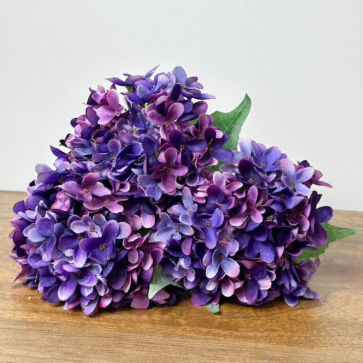 Fresh Cut Purple Hydrangea Stem