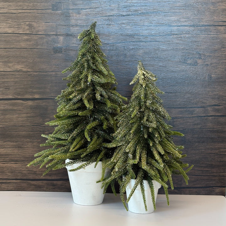 Glittered Mini Norfolk Potted Pine