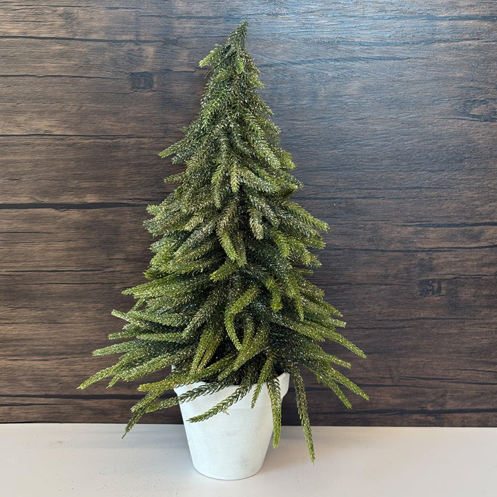 Glittered Mini Norfolk Potted Pine