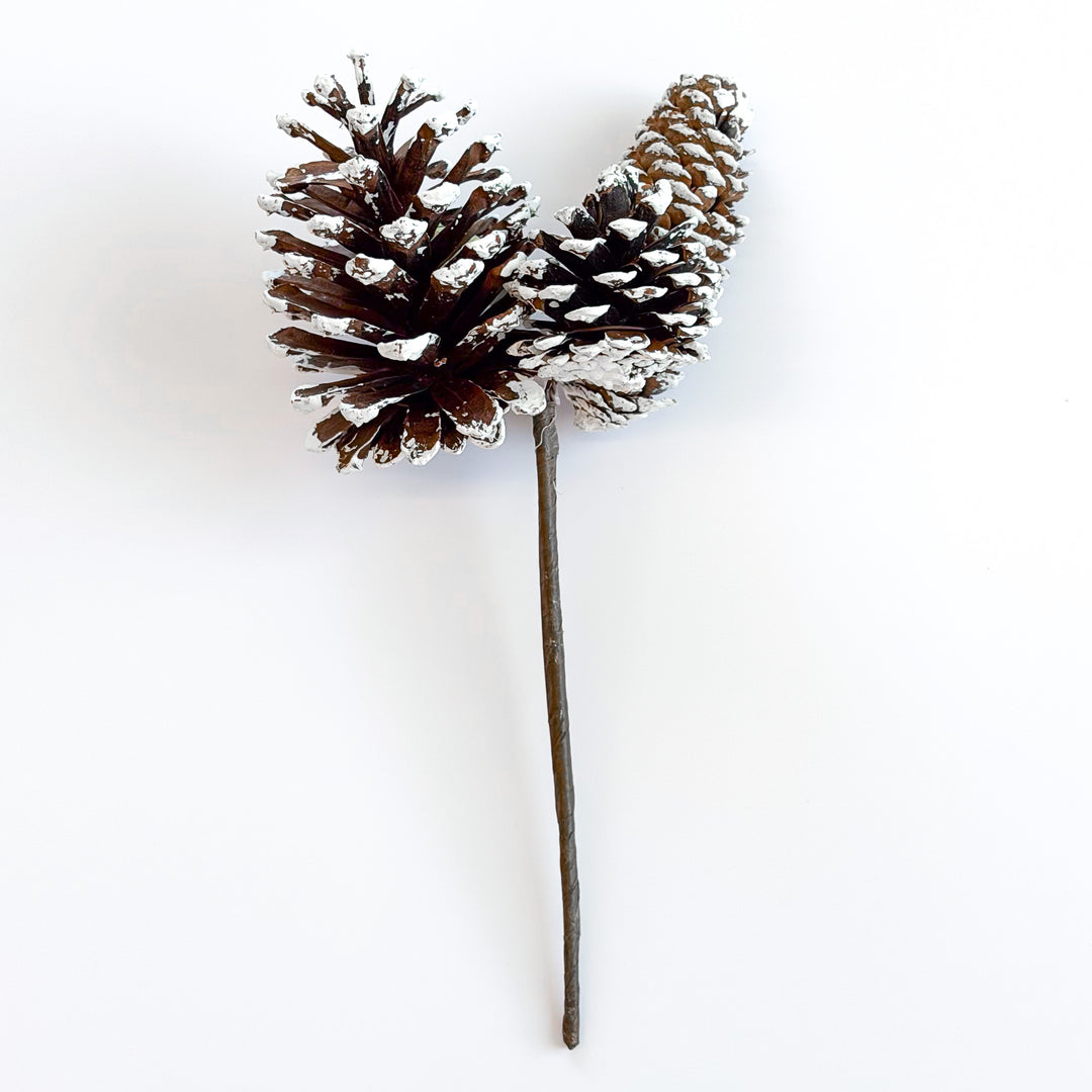 White Tipped Pinecone Pick