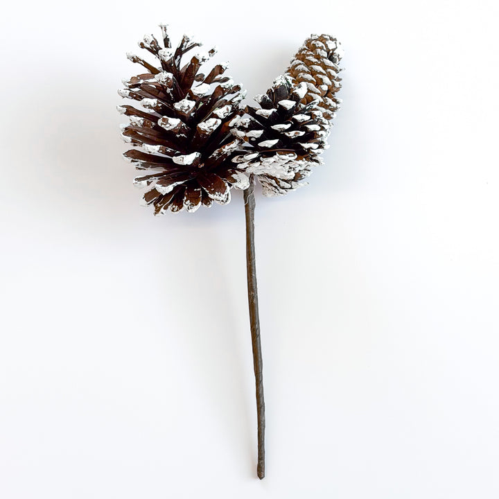 White Tipped Pinecone Pick