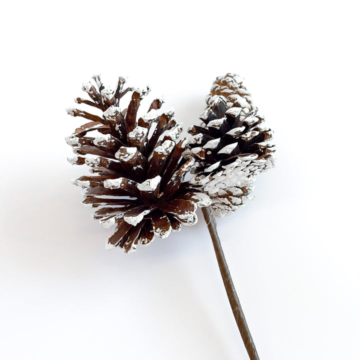 White Tipped Pinecone Pick