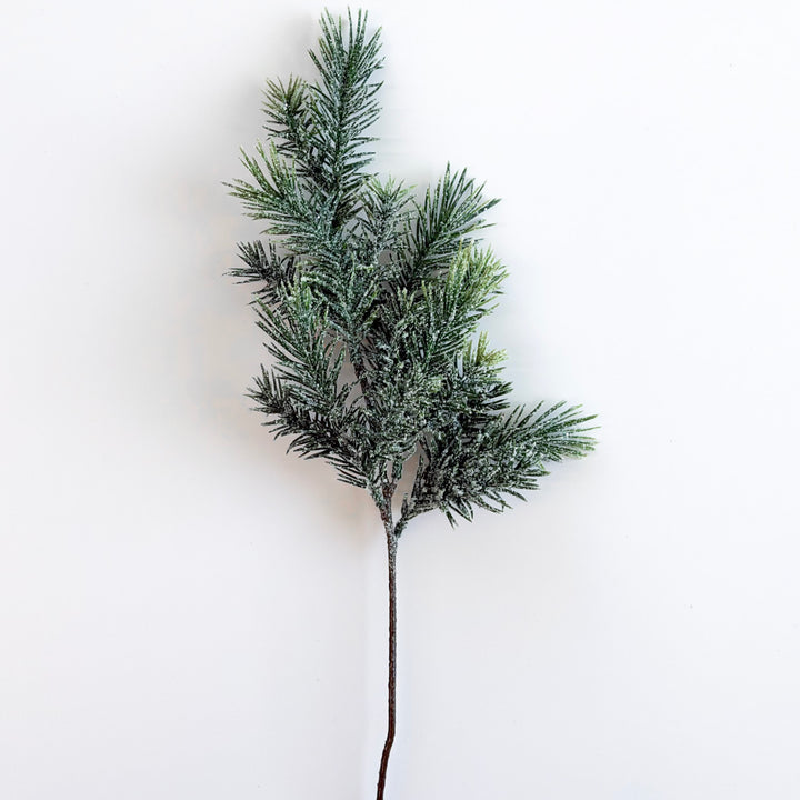 Cold Morning Iced Pine Spray