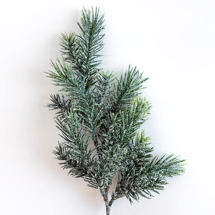 Cold Morning Iced Pine Spray