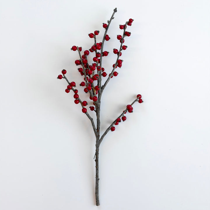 Rustic Red Winter Berry Pick